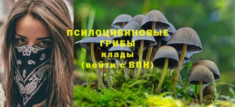 МЕГА ссылки  Электросталь  Галлюциногенные грибы Cubensis 